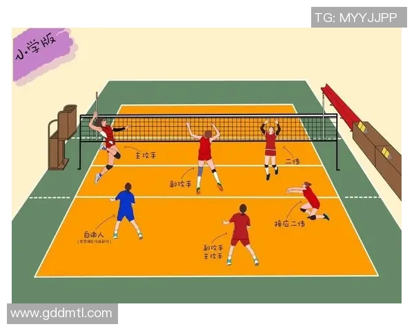 杭州排球队整体压制战术解析与排球热点探讨 杭州排球队整体压制战术解析与排球热点探讨