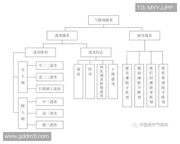 西安排球队整体压制战术解析与实战应用探讨