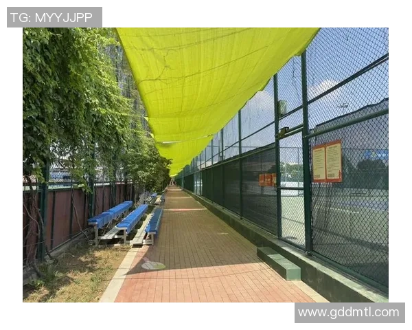 西安网球队实力解析与发展潜力探讨助力网球运动普及