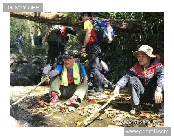 武汉攀岩队团队协作表现的深度数据分析与优化建议